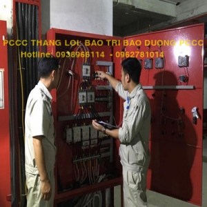 BAO TRI 22214